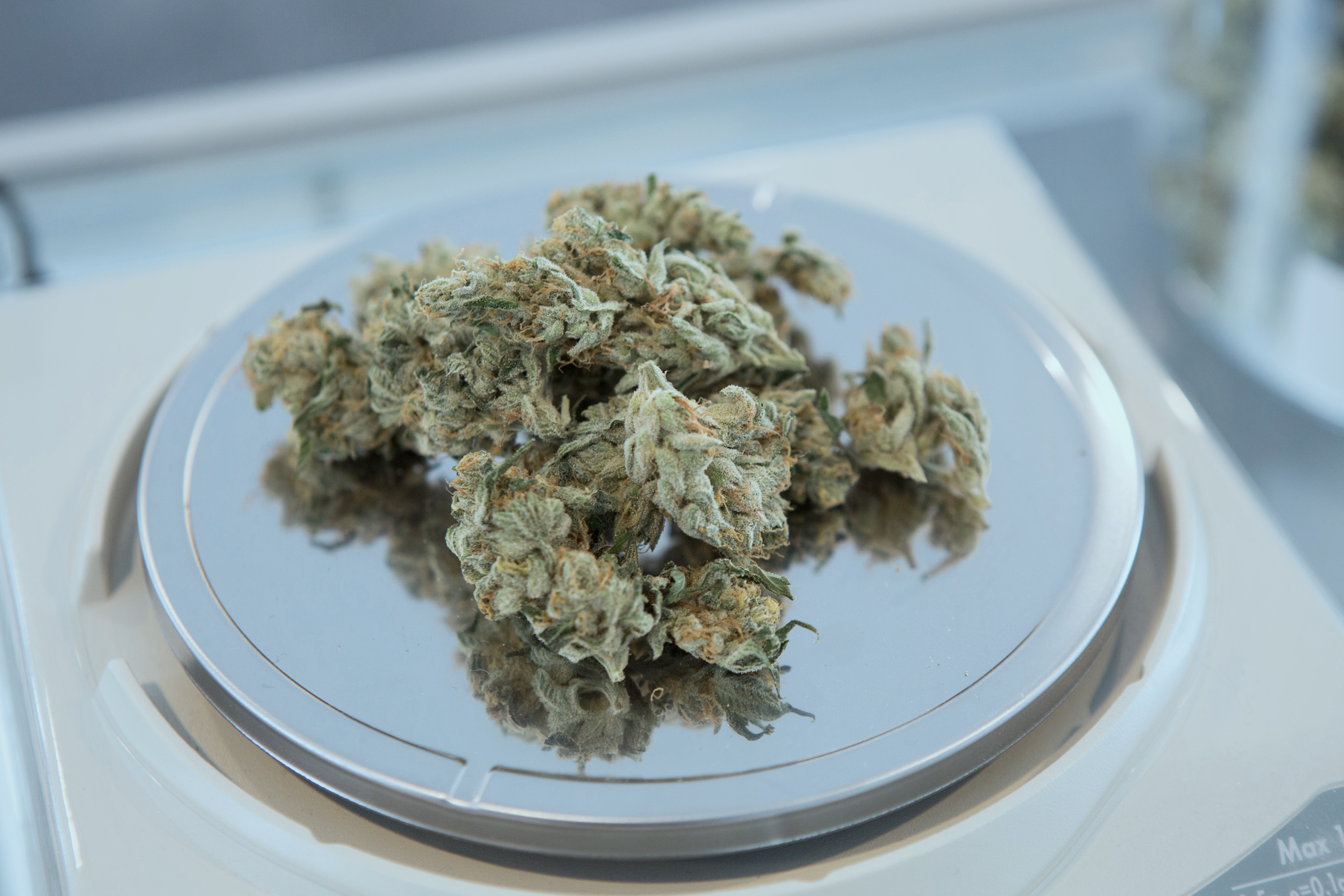 4 Digital Marketing Strategies to Boost Your Marijuana Business Sales 4 Digital Marketing Strategies to Boost Your Marijuana Business Sales