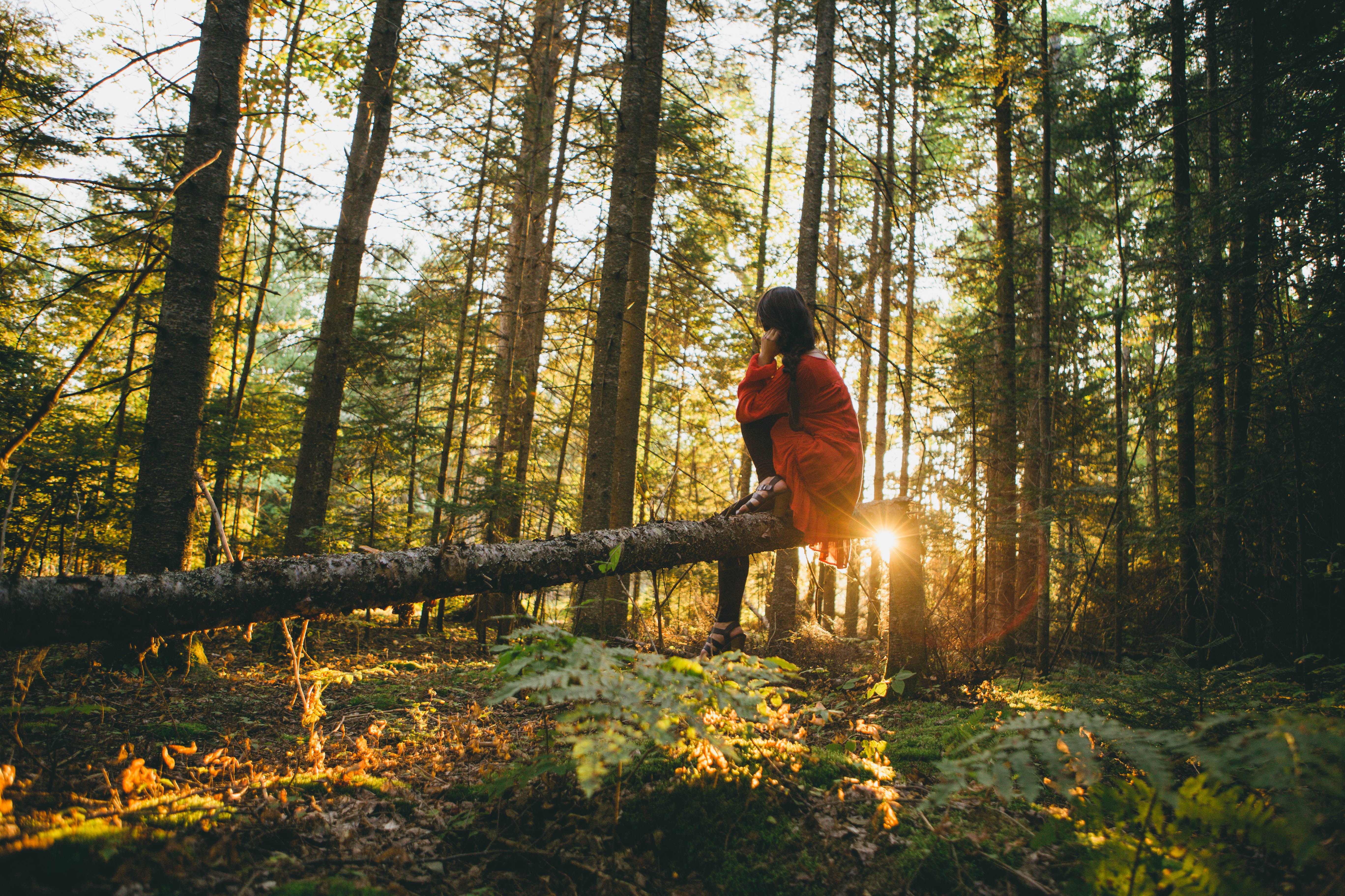 Eco-Friendly Marketing Campaigns Eco-Friendly Marketing Campaigns